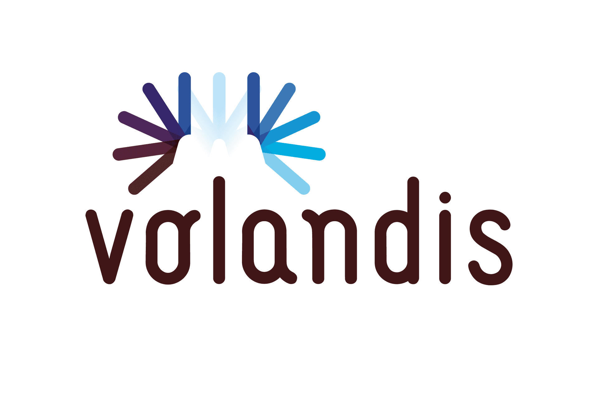 <p style="text-align: center;">Volandis</p>
